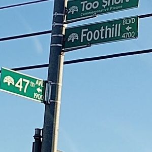 Meet your Posher, Eddie